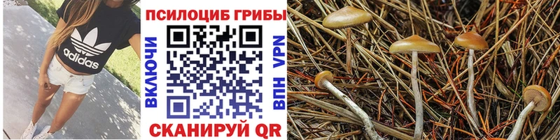 что такое наркотик  Белорецк  Псилоцибиновые грибы MAGIC MUSHROOMS 